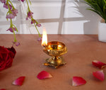 Tortoise Brass Diya Deepak