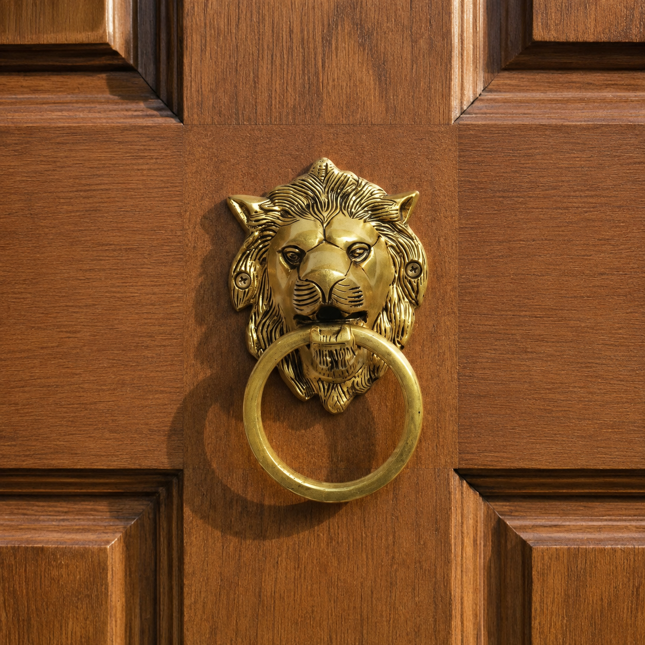 Brass Lion Head Ring Door Knocker