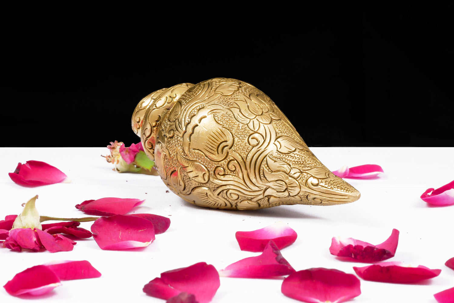 Shankh