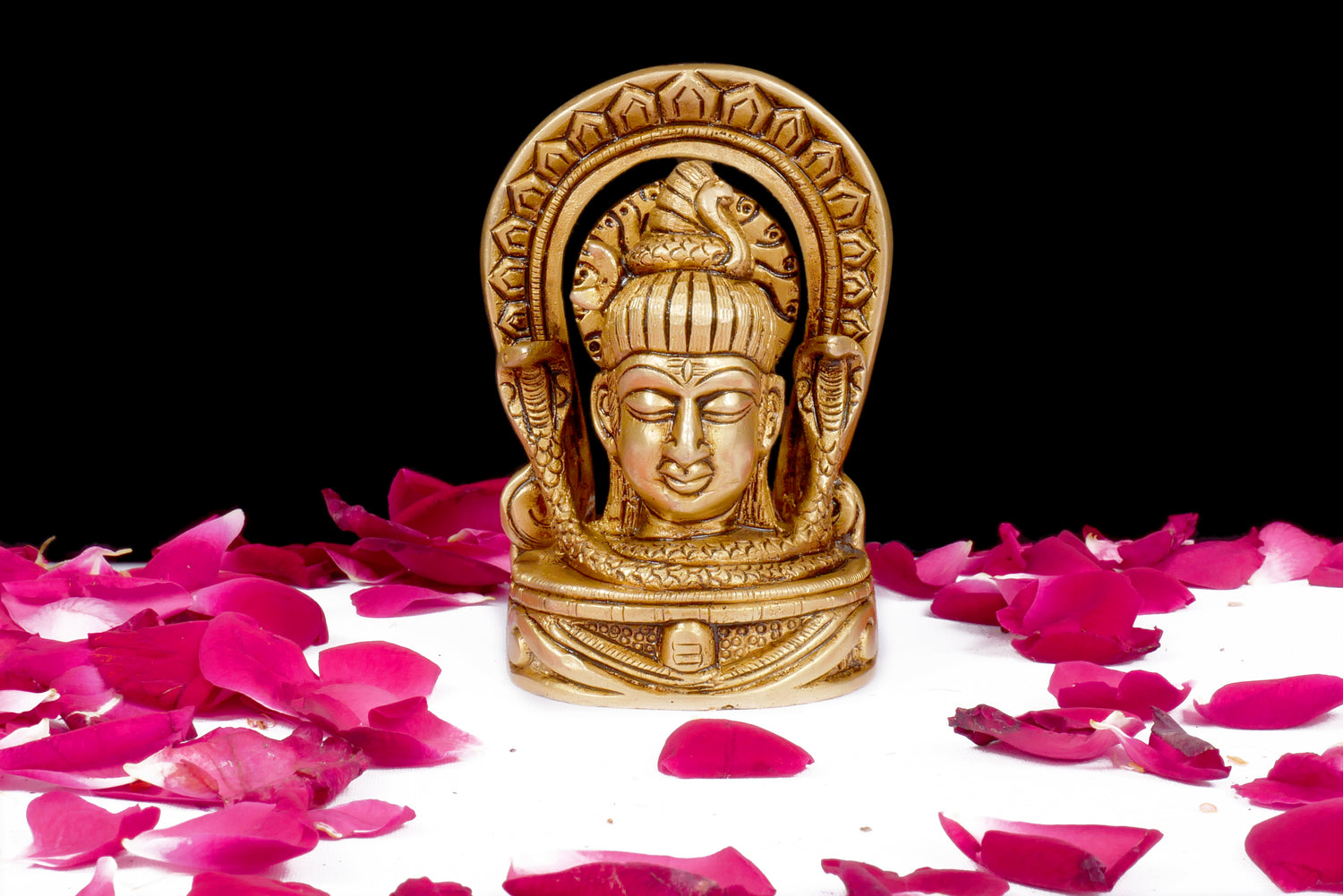 Lord Shiva Murti