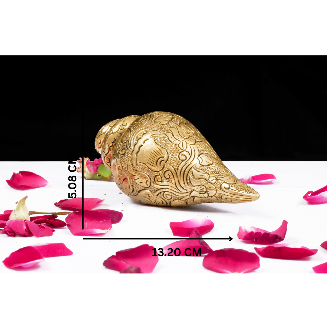 Shankh