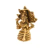 sheshnaag vishnu