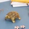 brass tortoise