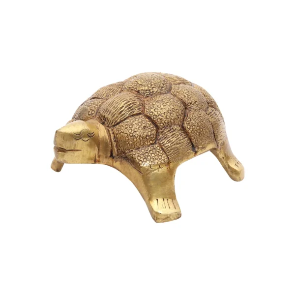 brass tortoise