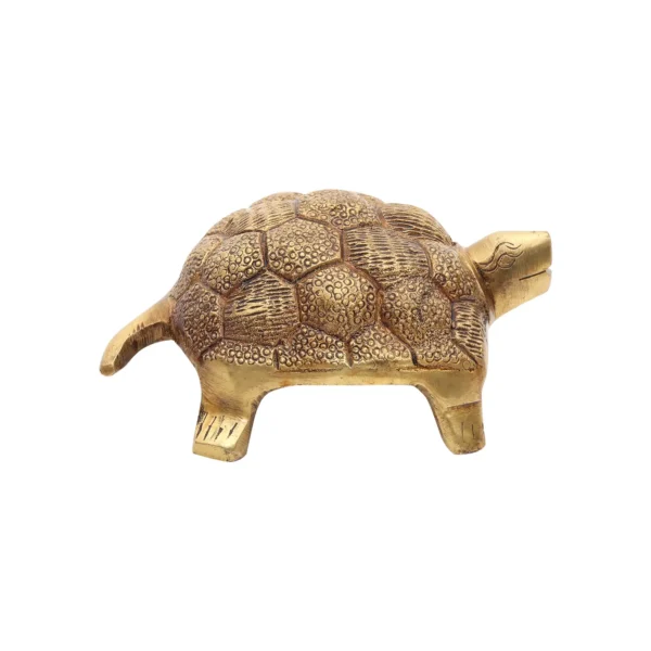 brass tortoise