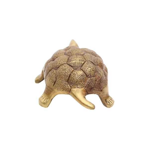 brass tortoise