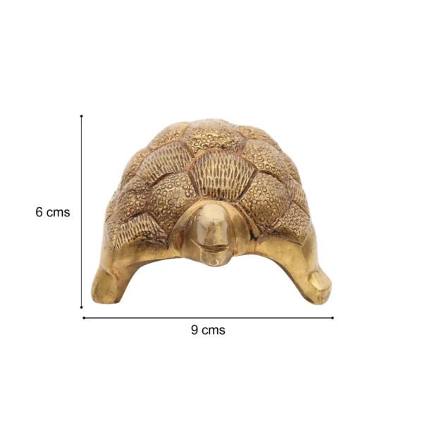 brass tortoise