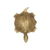 brass tortoise vastu